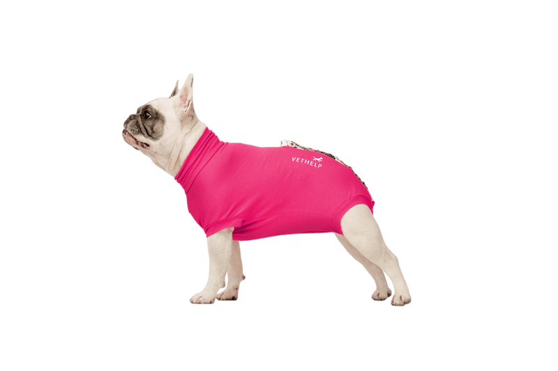 VetHelp - Restitusjonsdrakt Rosa Tik/Katt Nr D3 - Hund - Hundens Apotek - Dyrekassen.no