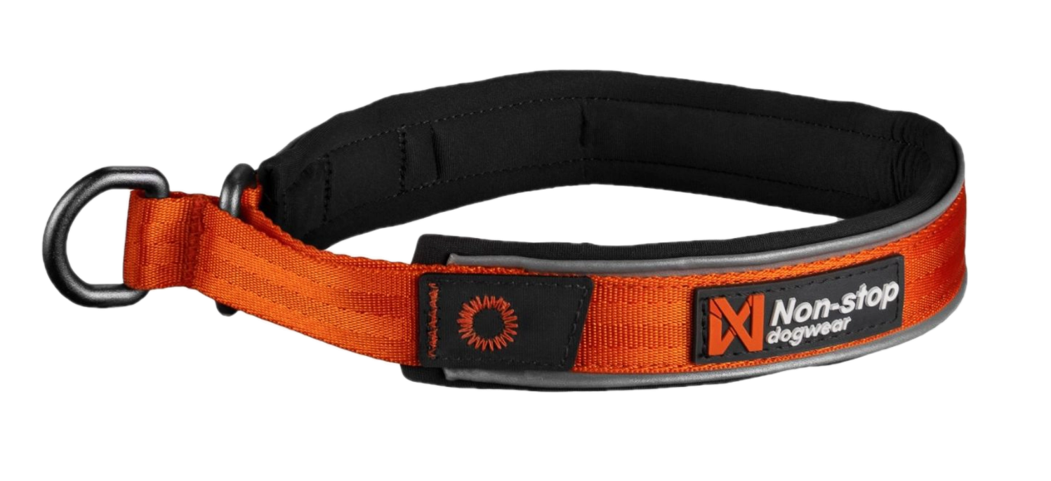 Non-Stop Dogwear - Cruise Collar Orange XS 36cm - Hund - Hundebur - Hundehalsbånd - Dyrekassen.no