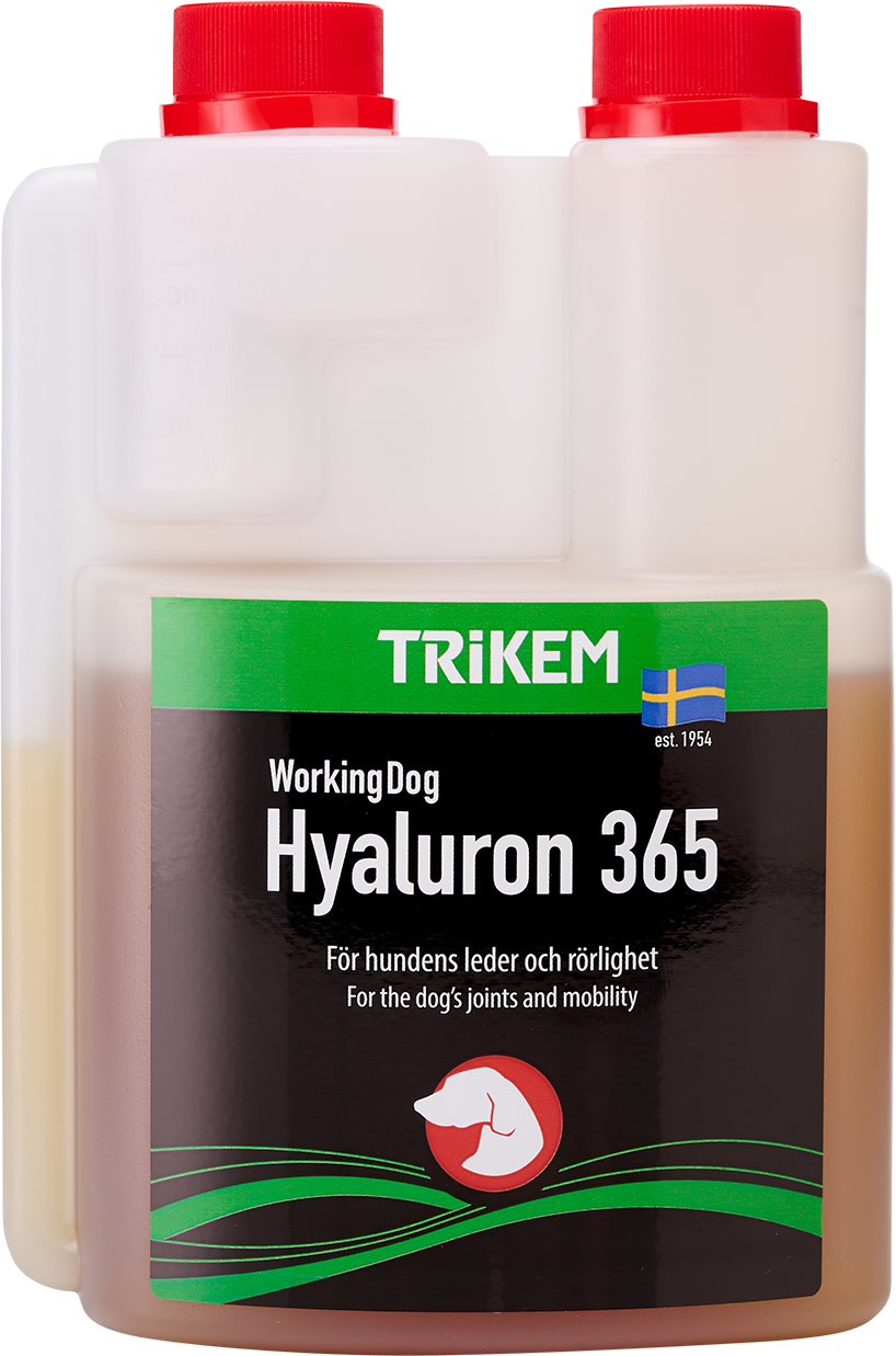 Trikem - WorkingDog Hyaluron365 500 ml - Hund - Hundens Apotek - Mage og tarm - Dyrekassen.no