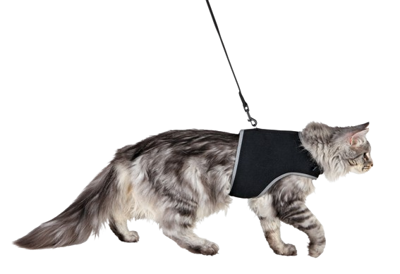 Trixie - Myk kattesele med bånd XXL, 36-54 cm, 1,20 m, svart - Katt - Dyrekassen.no