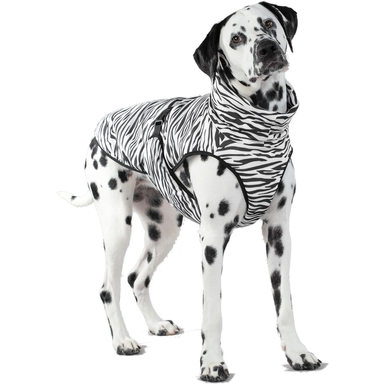 PAIKKA - Cool&Bug Vest 50cm - Hund - Hundens Apotek - Dyrekassen.no