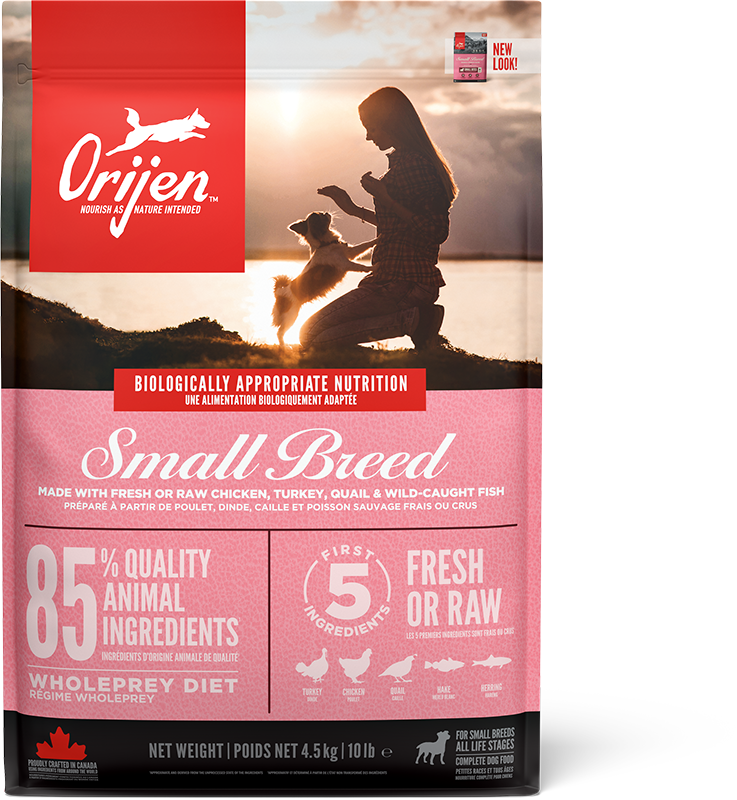 Hund Voksen Liten 4,5 kg