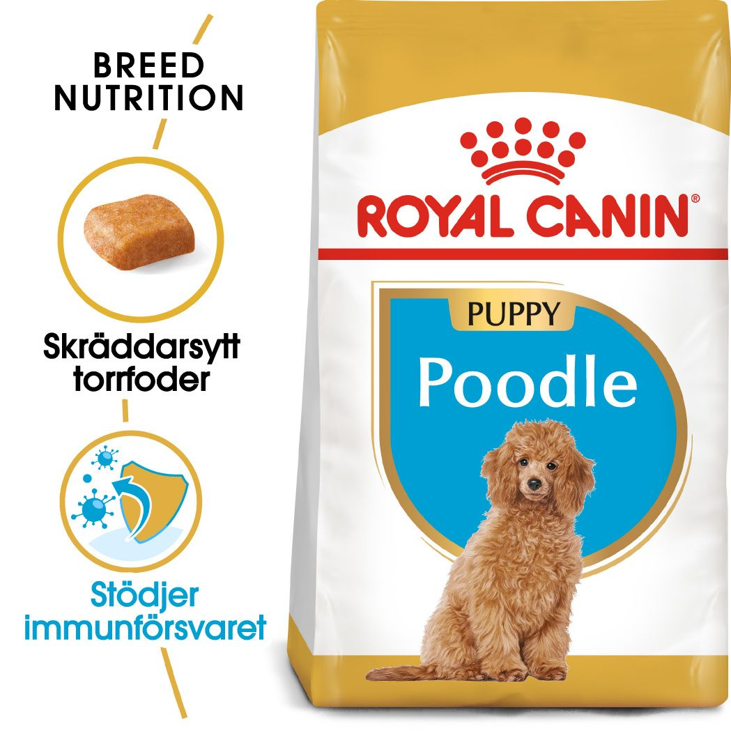 Royal Canin - Poodle Puppy tørrfôr for valper 3 kg - Hund - Hundefôr - Dyrekassen.no
