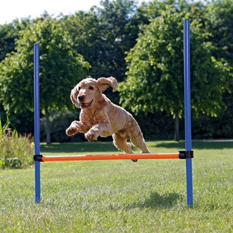 Dog Activity Agility Hurdle - Fully Adjustable Height 123 x 115 cm