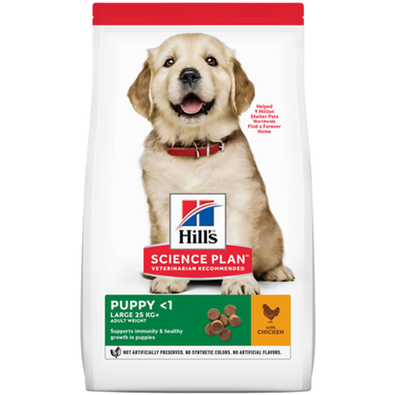 Hills Science Plan - Puppy Large Breed Chicken 14,5 kg - Hund - Hundefôr - Dyrekassen.no