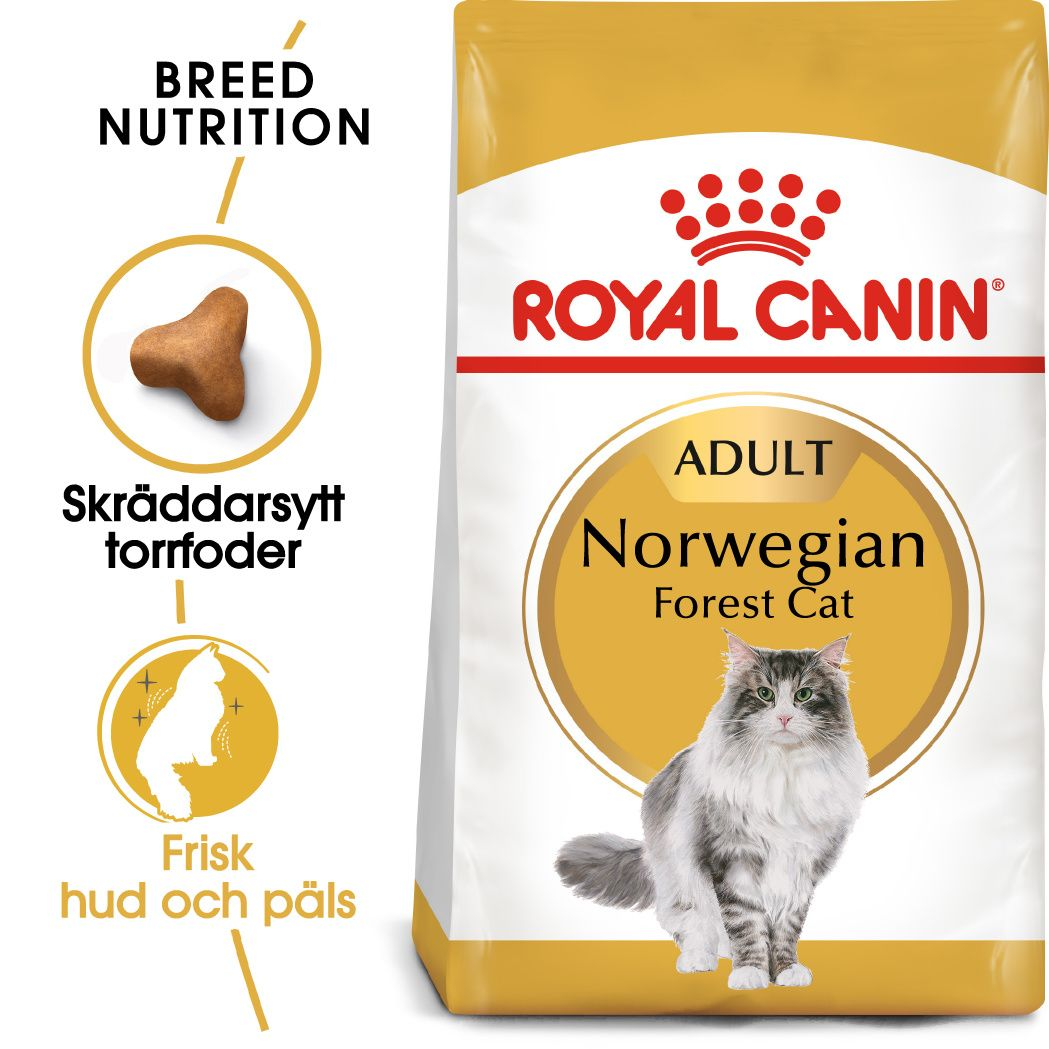 Katterase Norsk skogkatt 10 kg
