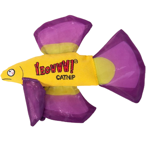 Catnip Mo Betta Fish Purple
