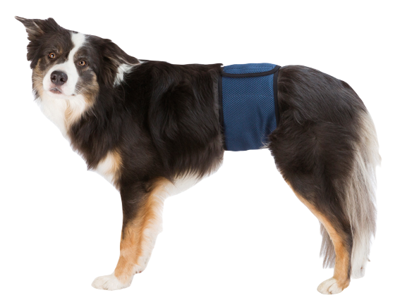 Trixie Beskyttelse av hannhunder