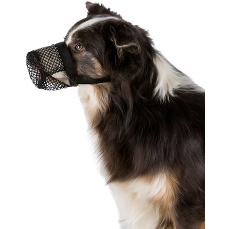 Trixie - Beskyttelseskurv for hund Polyester Svart Small/Medium - Hund - Sport - Dyrekassen.no