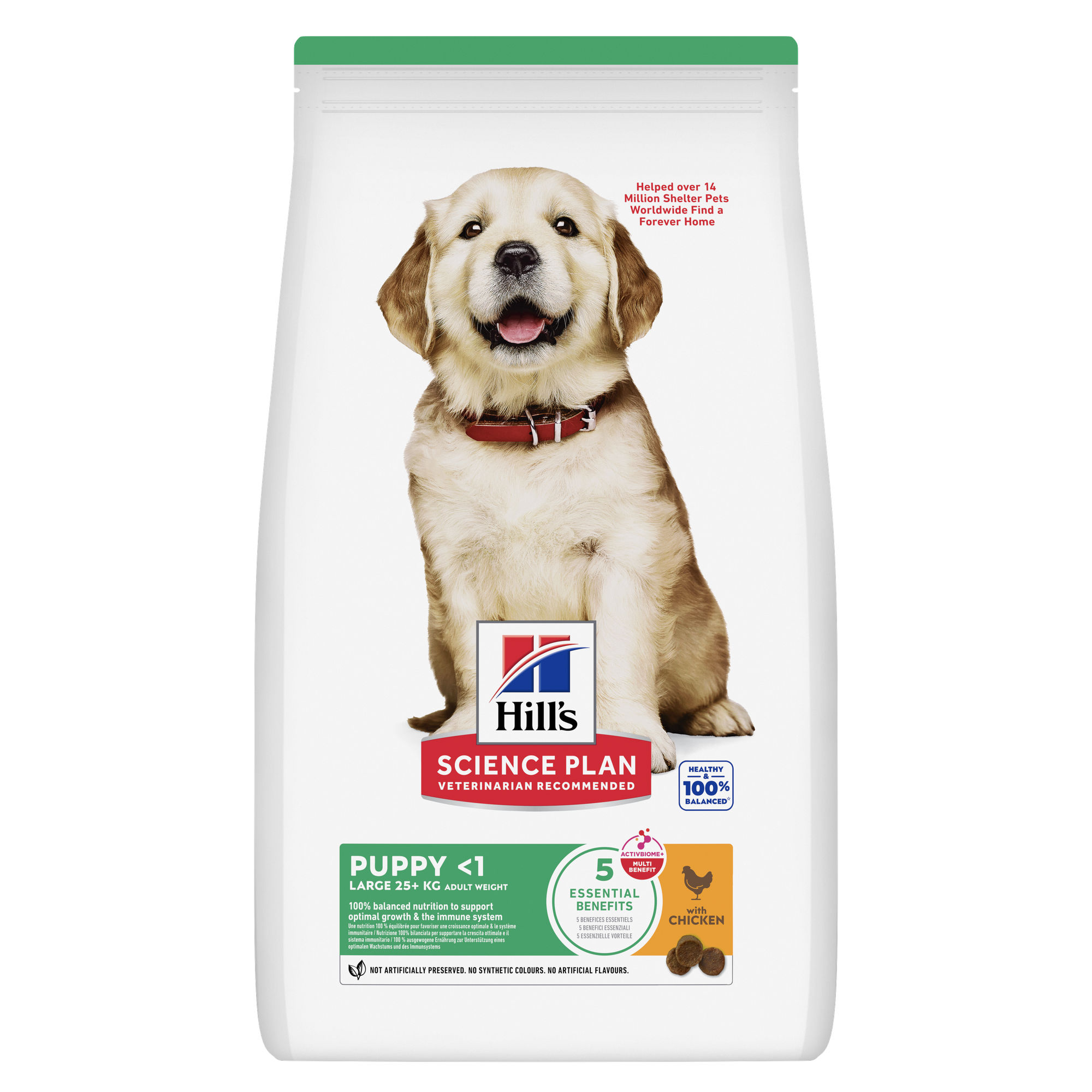 Hills Science Plan Canine Puppy Large Breed Chicken 6kg
