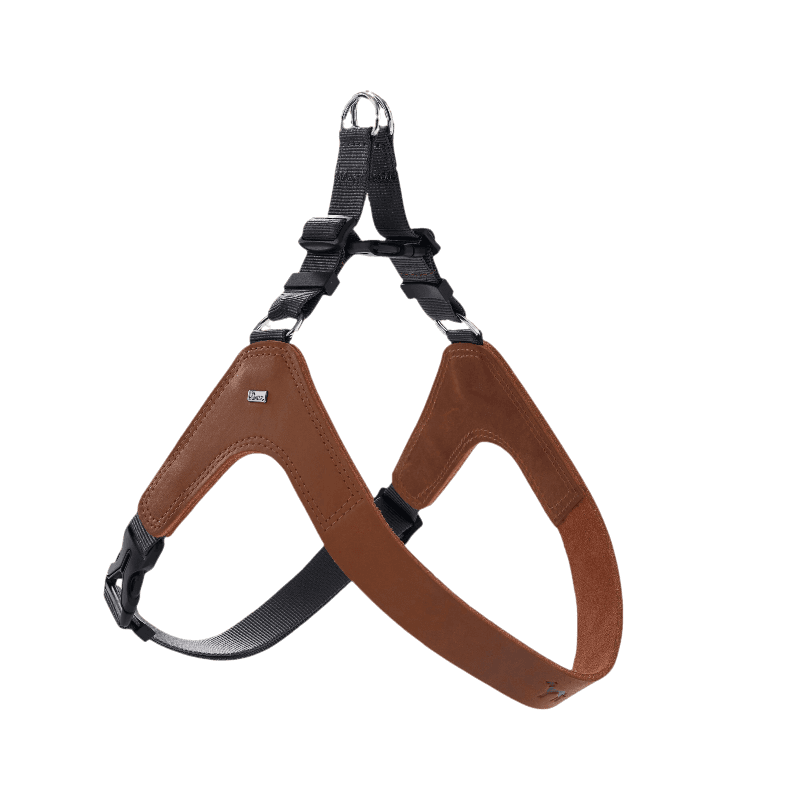 Hunter - Hundesele Dimaro i kuskinn cognac M Bryst 54-74cm - Hund - Hundebur - Hundehalsbånd - Dyrekassen.no