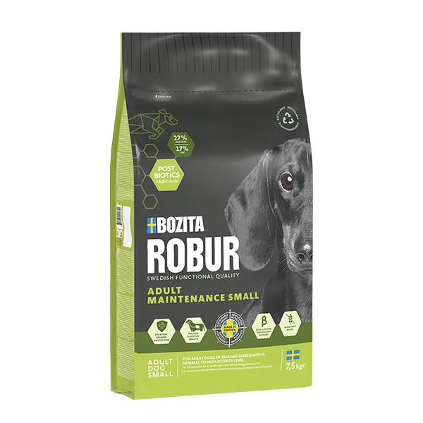 Adult Maintenance Mini