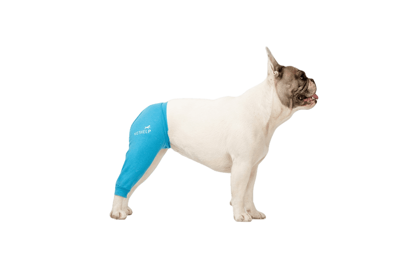 VetHelp - Beindeksel bak høyre blå nr. 5 - Hund - Hundens Apotek - Dyrekassen.no