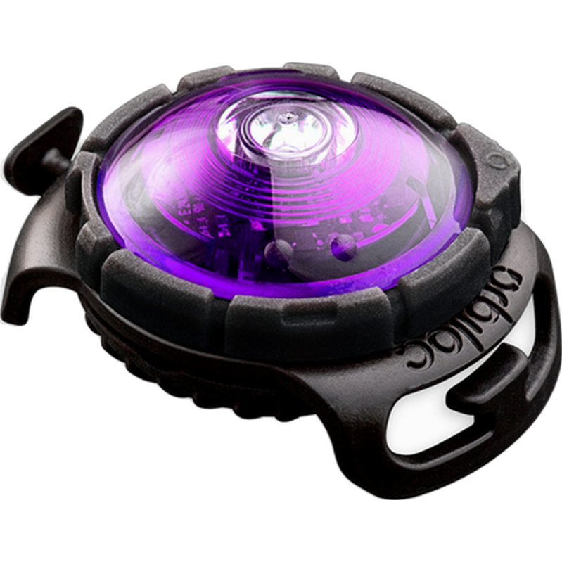 Orbiloc - Safety Light Dog Dual LED - With Quick Mount & Adjustable Strap Purple 5 km - Hund - Hundebur - Refleks og lykter - Dyrekassen.no