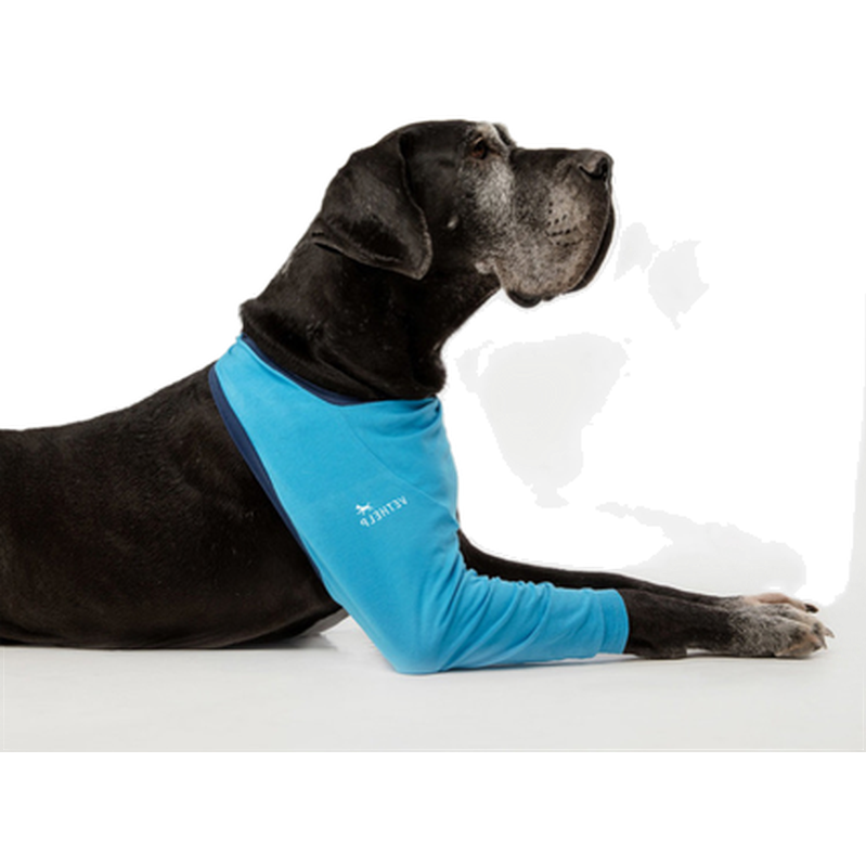 VetHelp - Benbeskyttelse foran høyre blå nr. 5 - Hund - Hundens Apotek - Dyrekassen.no