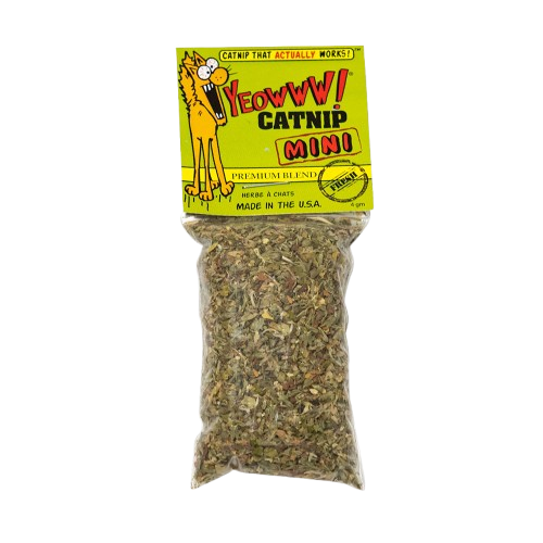 Catnip Minis