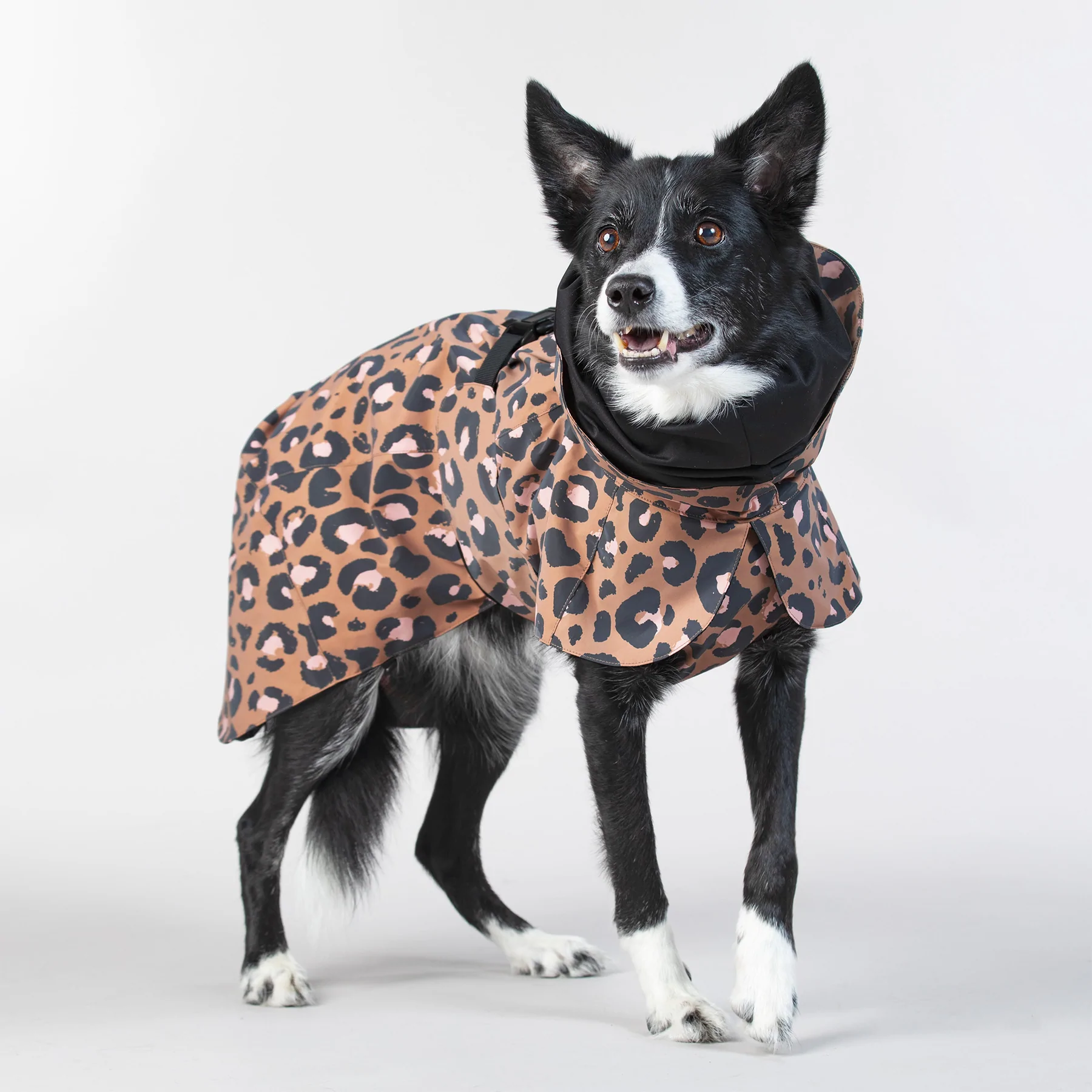 PAIKKA Hunde Regenmantel Leicht & Reflektierend - Grün Leopard 45cm