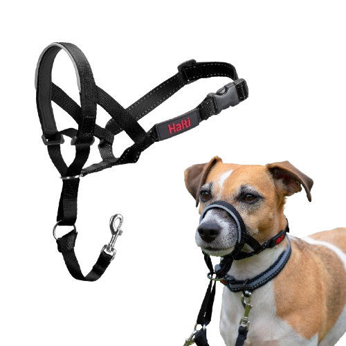 No 1 Hodebånd Hals: 31-40 cm