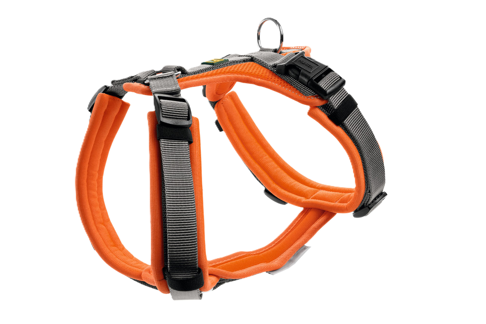 Hunter Harness Maldon Up Polyester orange/grey