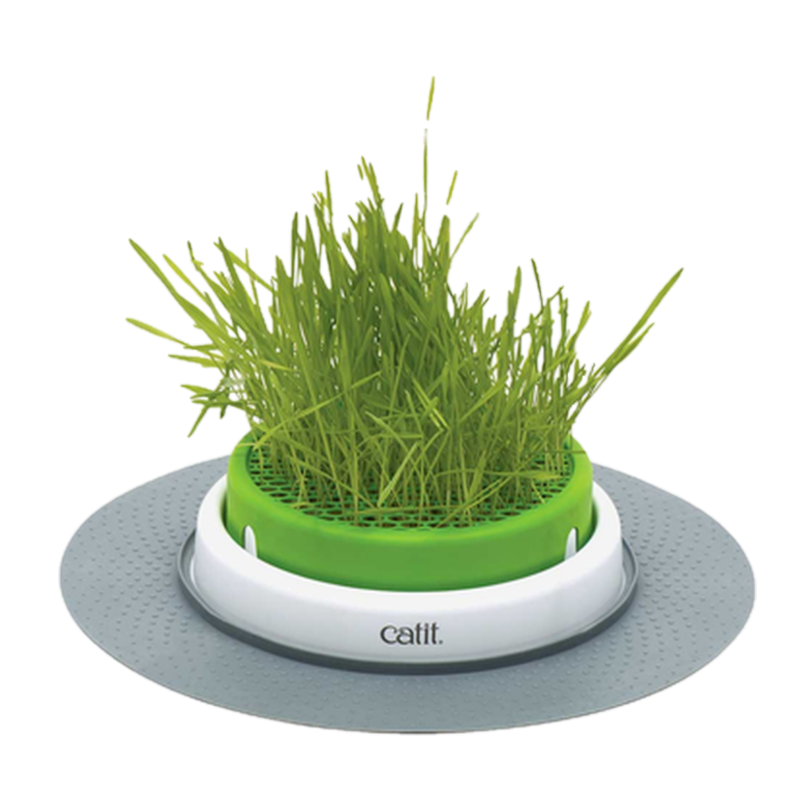 Catit - Senses 2.0 Gressplanter grønn 24,5 cm - Katt - Kattemøbler - Kloremøbler - Kattesenger og kattehuler - Dyrekassen.no