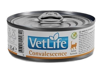 Cat Vet Life ND Convalescence