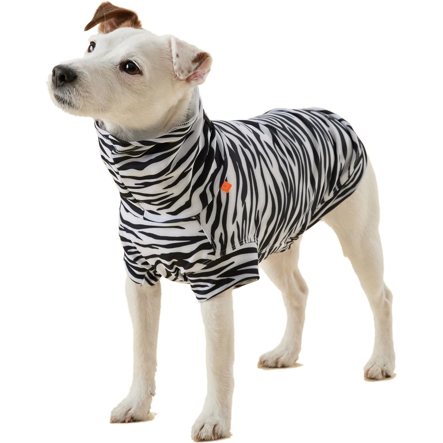 UV&Bug Shirt with Repeltec