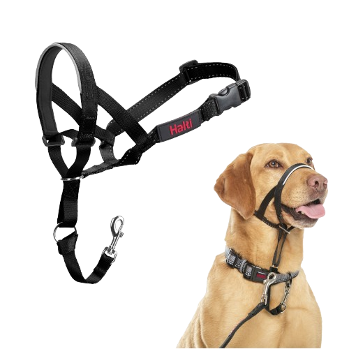 Pointer nr. 3 Hals: 40-54 cm