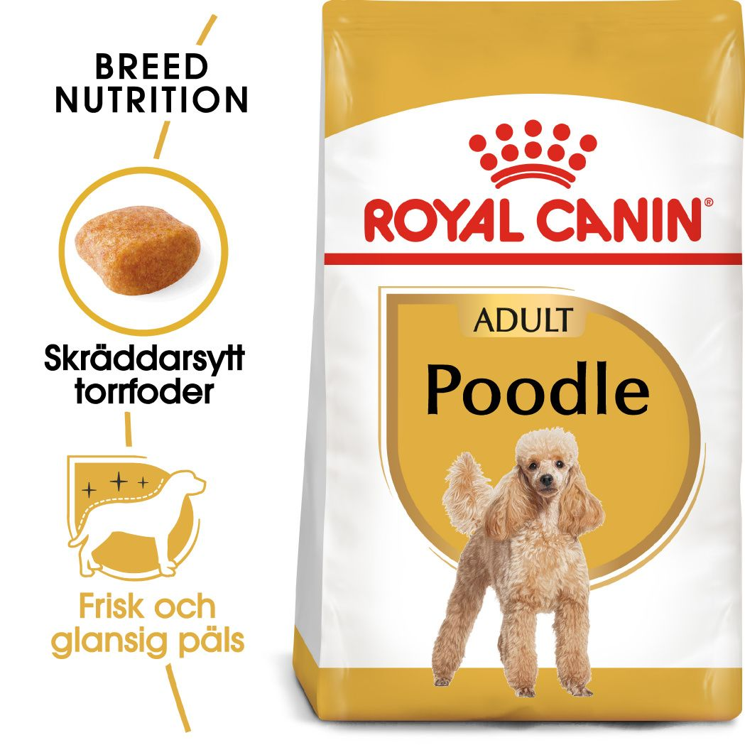 Poodle Adult tørrfôr for hunder 1,5 kg