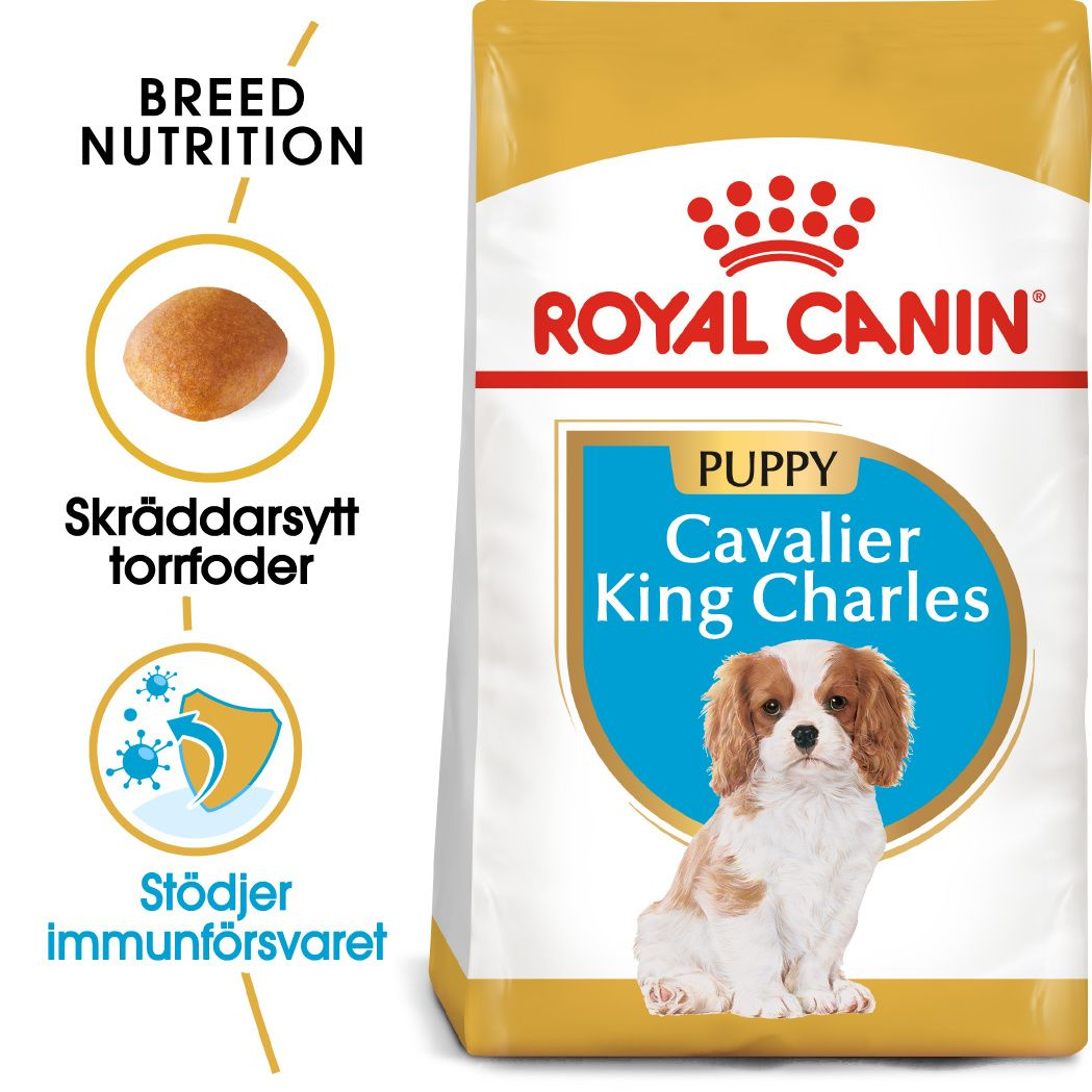 Royal Canin - Cavalier King Charles valp tørrfôr for valp 1,5 kg - Hund - Hundefôr - Dyrekassen.no