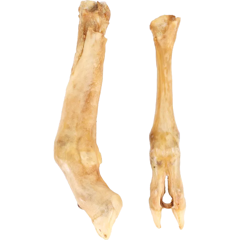Flamingo - Dog Nature Snack Lammefot 2-pakning - Hund - Hundegodteri - Dyrekassen.no