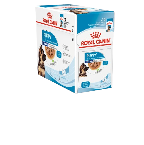 Royal Canin - Maxi Puppy Gravy 10 x 140 g - Hund - Våtfôr - Dyrekassen.no