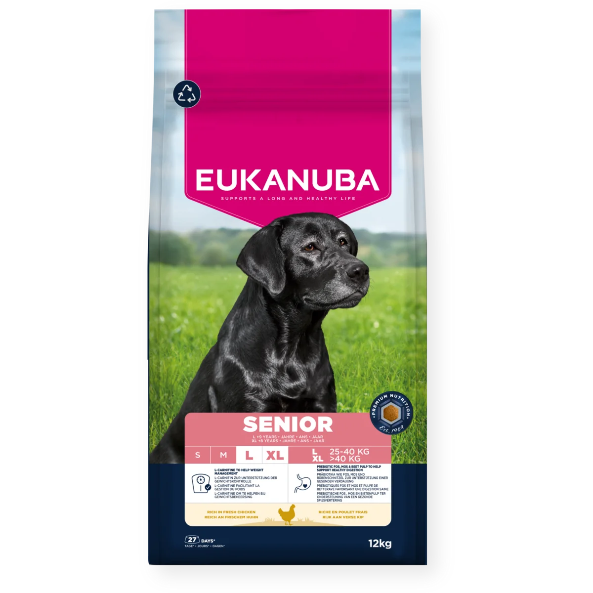 Eukanuba Dog Senior Large Breed Chicken