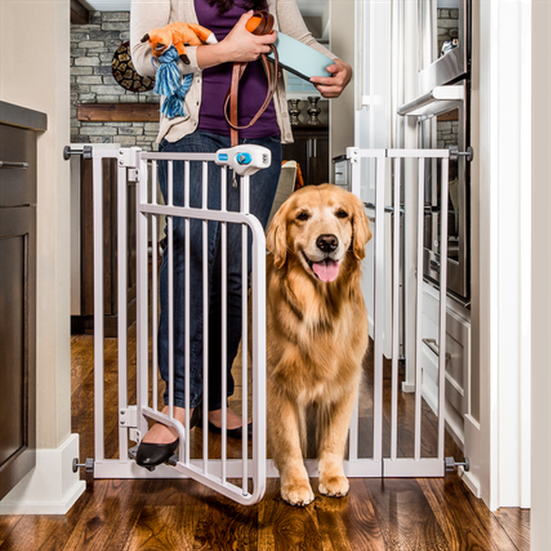 Handsfree gjennomgangsgrind for kjæledyr Hvit 76-112 x 81 cm