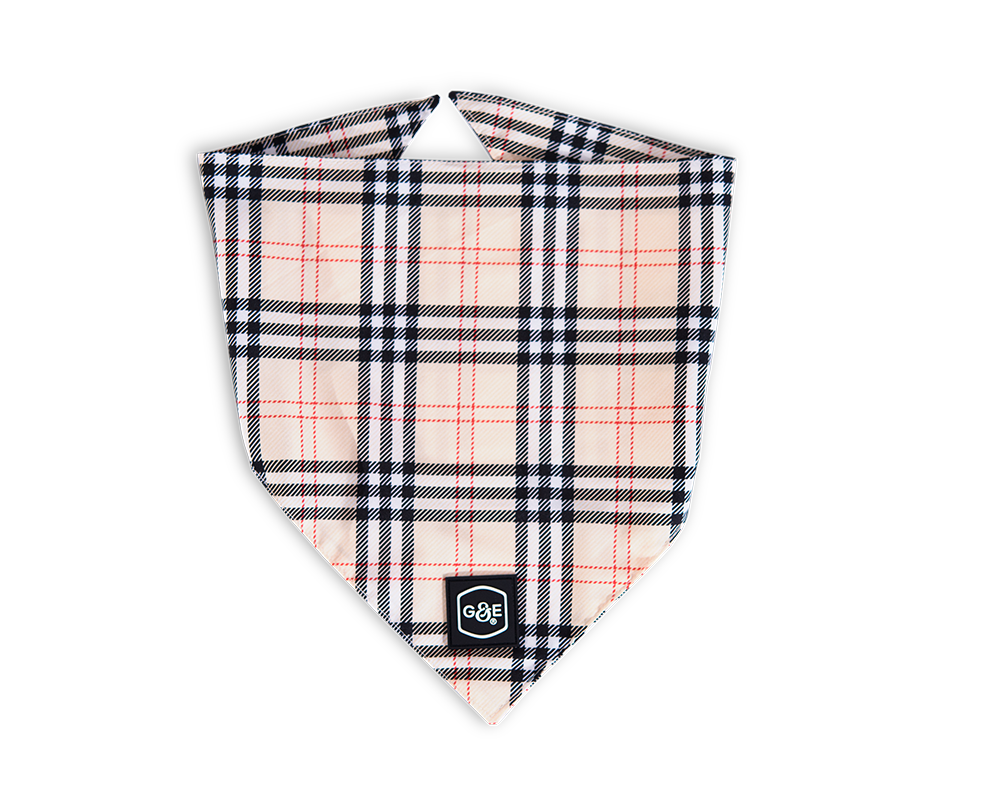 Gustaf och Evita Bandana Stilish