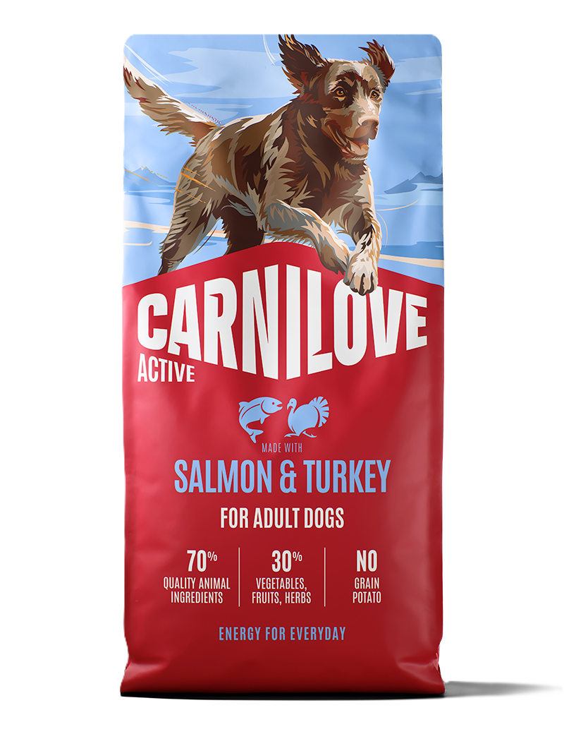 Carnilove Active Dog Salmon & Turkey for Adult All Breeds