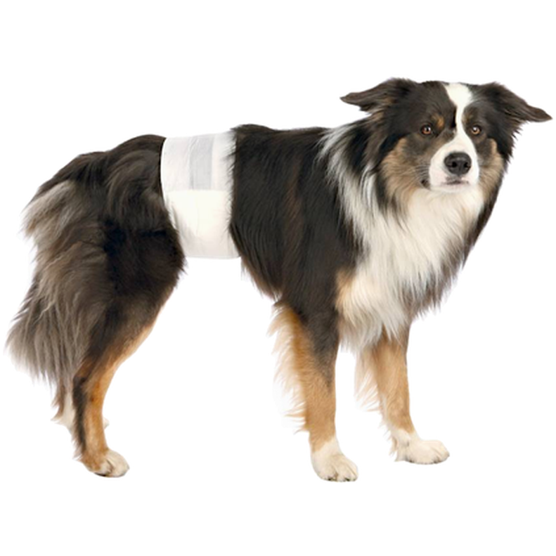 Trixie - Engangsbleier for hannhunder, blå, medium/large - Hund - Helse og pels - Pelspleie - Shampoo og pleie - Bilbelte til hund - Dyrekassen.no