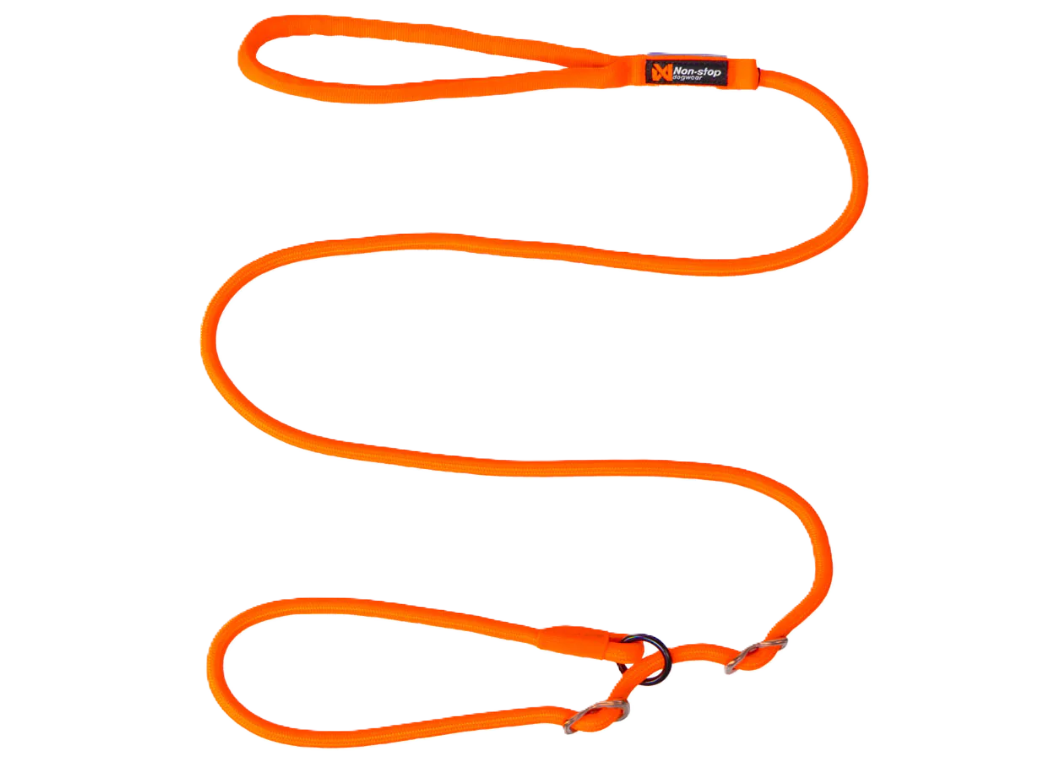 Retriever leash