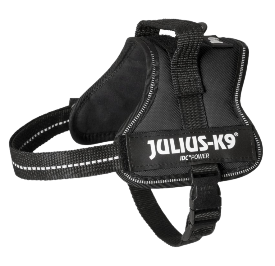 Julius-K9 IDC Powerharness Dog Harness - Hundsele Svart