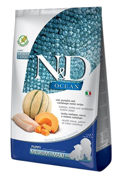 N&D Dog Ocean Codfish Pumpkin & Cantaloupe Melon Puppy Medium & Maxi