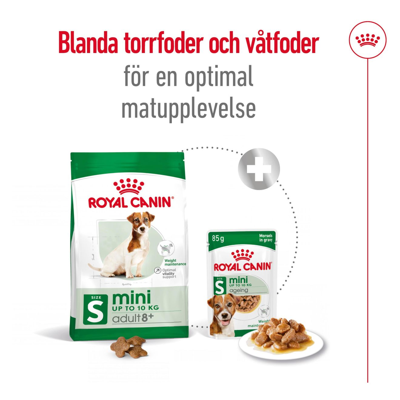 Royal Canin Mini 8+ Ageing tørrfôr for hunder | Dyrekassen