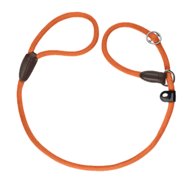 Leash Retriever Freestyle