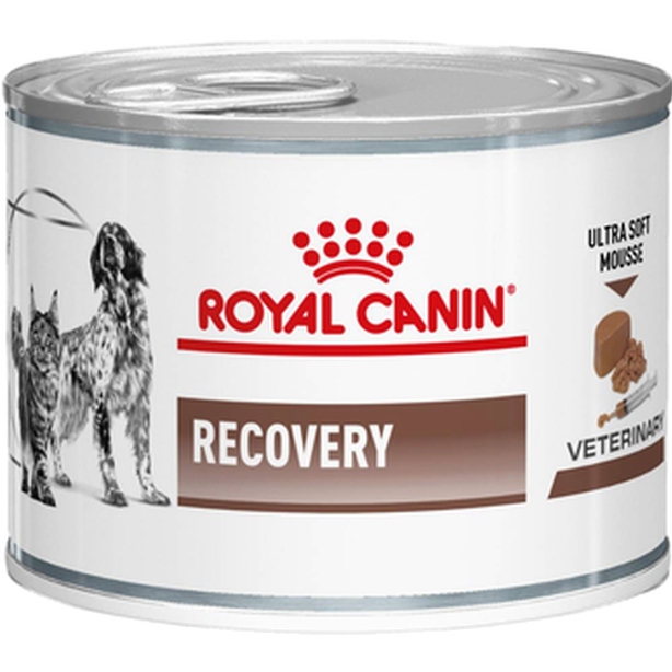 Royal Canin Veterinary Diets Dog - Gastrointestinal Recovery Ultra Soft Mousse Våtfôr for katter og hunder 195 g x 12 - Katt - Helse og pels -