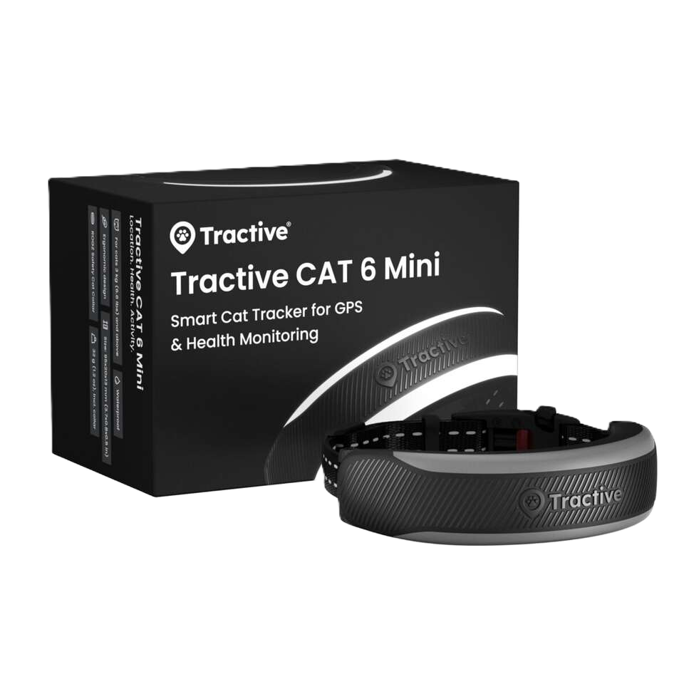 CAT 6 Mini GPS