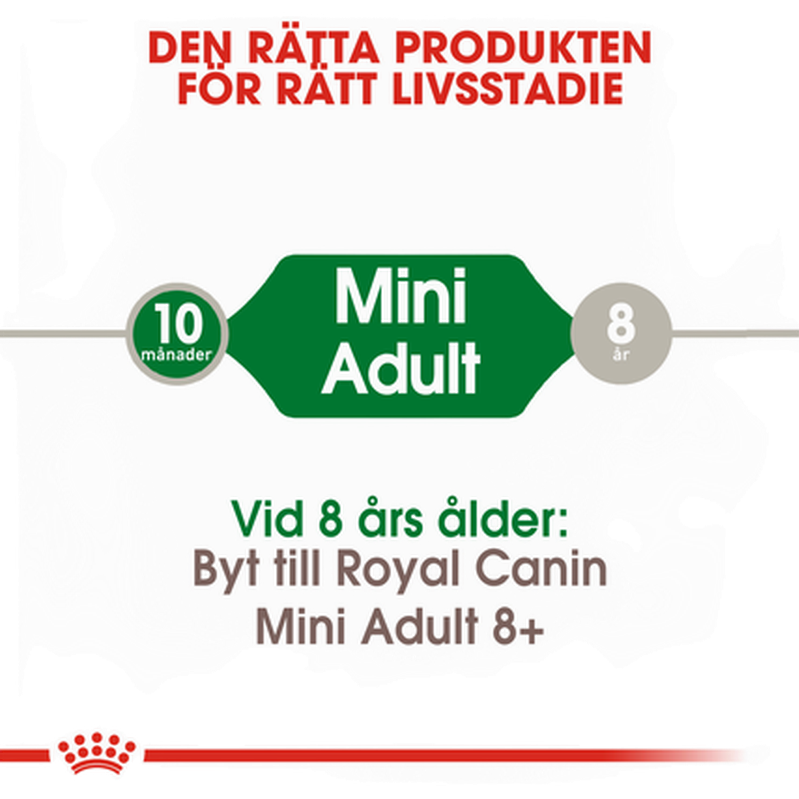 Royal Canin Mini Adult tørrfôr for hunder | Dyrekassen