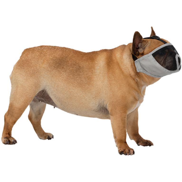 Trixie Muzzle for short-nosed breeds polyester
