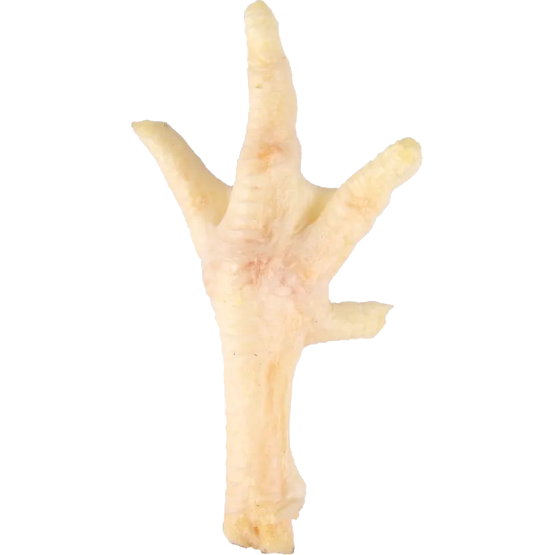 Dog Snack Gloria Pig Feet main image 1