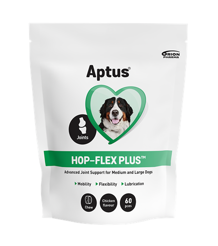 Aptus - Hop-Flex Plus 480 g 60 stk. - Hund - Hundens Apotek - Mage og tarm - Dyrekassen.no