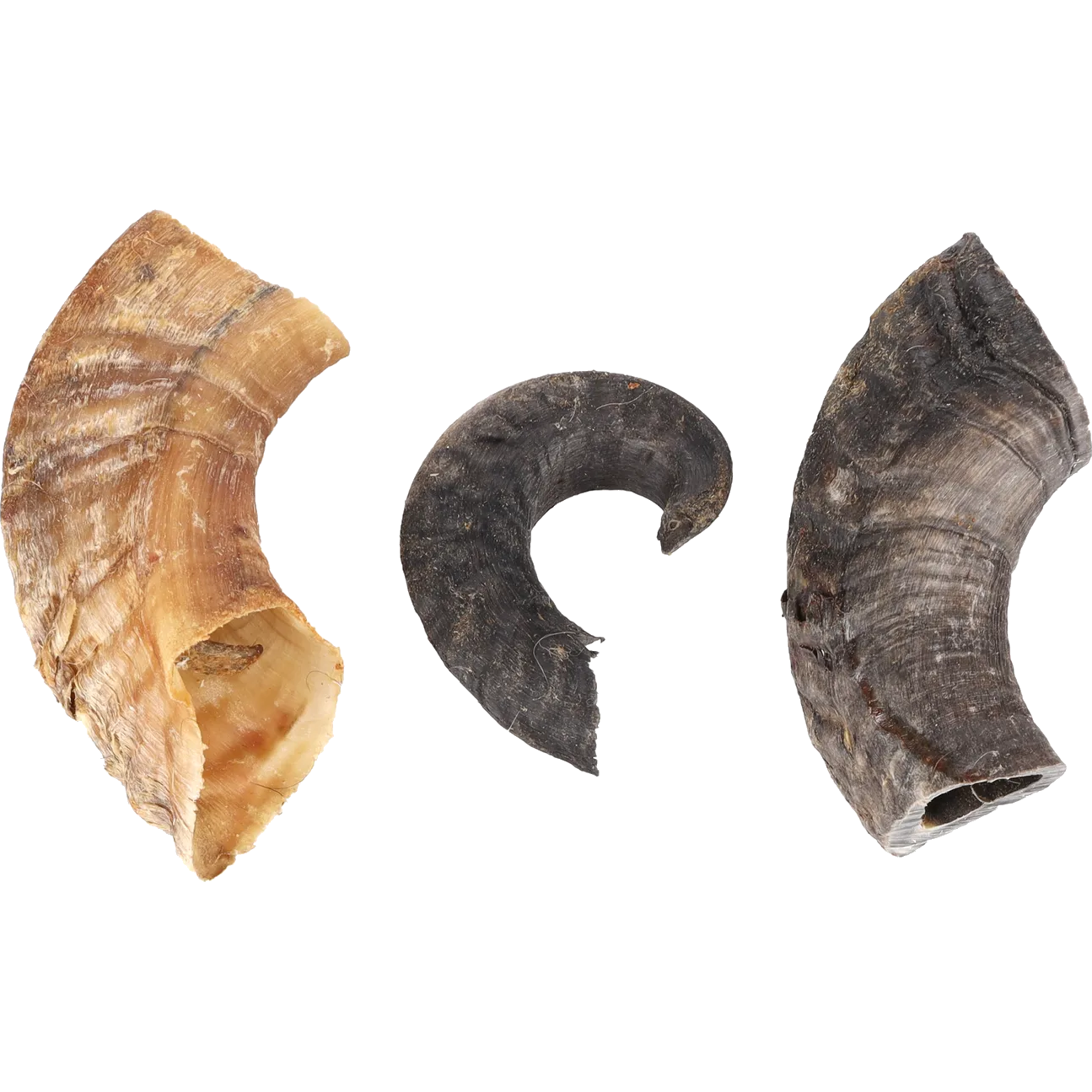 Dog Nature Snack Lamb Horn