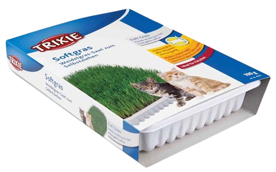 Trixie Kattemynte, myk, vitaminberiket, med dyrkingsboks, ca. 100 g