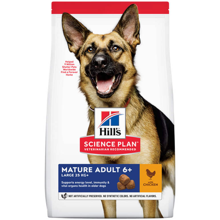 Hills Science Plan Mature 5+ Active Lonegvity Large Breed Chicken - Dry Dog Food 12 kg